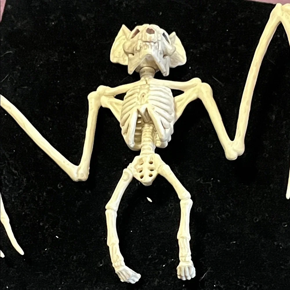 Natural Bat Skeleton Reptile Decor - Cream
